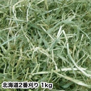 【送料無料】北海道二番刈りチモシー　１kg　