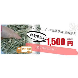 【訳あり】チモシーミックス5kg【送料無料】【...の詳細画像2