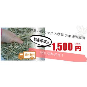 【訳あり】チモシーミックス5kg【送料無料】【...の詳細画像3