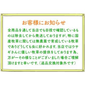 送料無料 2025年産新刈り入荷 アメリカ 産...の詳細画像1