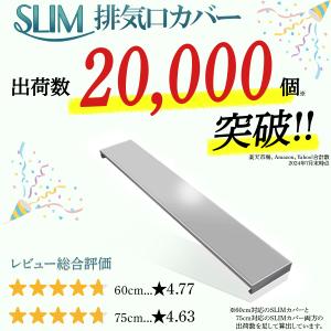 日本製 排気口カバー60cmフラット ステンレ...の詳細画像1