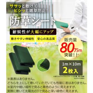 超高耐久 防草シート1mx10m 2枚入り 長...の詳細画像1