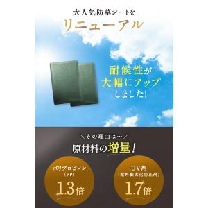 超高耐久 防草シート1mx10m 2枚入り 長...の詳細画像3