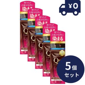 DHC Q10プレミアムカラートリートメント(白髪用) ダークブラウン (150g) 5個セット【DHC】 [白髪隠し] 毛髪着色 自然 無香料 ディーエイチシー 白髪染め 毛髪着