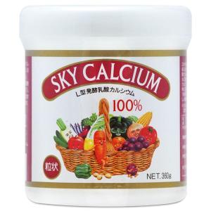 エルカルシウム 6個セット L型乳酸発酵 カルシウム 乳酸菌 植物性 骨