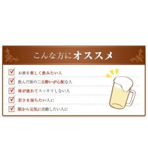 送料無料 さんぴん水 ティーバッグ (6g×1...の詳細画像4