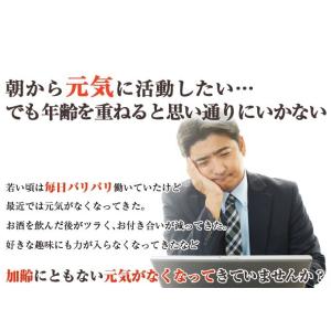 送料無料 さんぴん水 ティーバッグ (6g×1...の詳細画像5