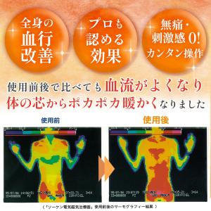 電気(交流)磁気治療器 ソーケンリラックス 延...の詳細画像5