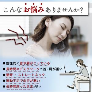 電気(交流)磁気治療器 ソーケンリラックス 延...の詳細画像1