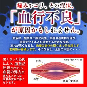 電気(交流)磁気治療器 ソーケンリラックス 延...の詳細画像2