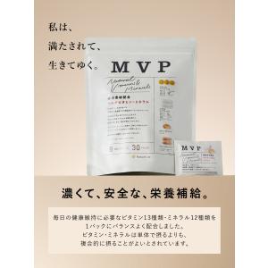 サプリメント【メール便 送料無料】MVP マル...の詳細画像1