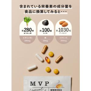 サプリメント【メール便 送料無料】MVP マル...の詳細画像4