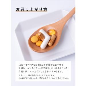 サプリメント【メール便 送料無料】MVP マル...の詳細画像5