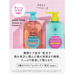 ハローダイアン グッバイ ダメージリペア トラ...の詳細画像2