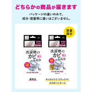 洗濯槽クリーナー クリーンプラネット 洗濯槽の...の詳細画像2