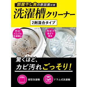 洗濯槽クリーナー クリーンプラネット 洗濯槽の...の詳細画像4