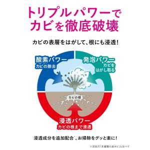 洗濯槽クリーナー クリーンプラネット 洗濯槽の...の詳細画像5