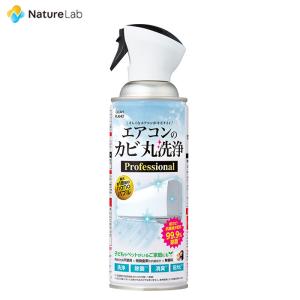 クリーンプラネット エアコンのカビ丸洗浄 Professional 350ml | CLEAN PLANET  掃除 エアコン洗浄剤 抗菌 消臭 防カビ 除菌 エアコン掃除 界面活性剤不使用