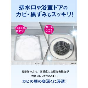 クリーンプラネット お風呂場のカビ丸洗浄 ウル...の詳細画像3