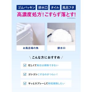 クリーンプラネット お風呂場のカビ丸洗浄 ウル...の詳細画像4
