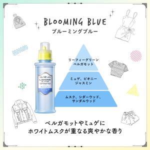 洗剤 ラボン シャレボン おしゃれ着用 ブルー...の詳細画像2