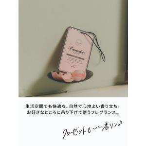 芳香剤 ランドリン ペーパーフレグランス クラ...の詳細画像2