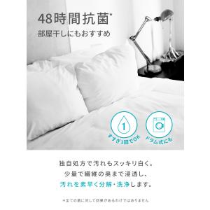 洗剤 ランドリン WASH 洗濯洗剤 濃縮液体...の詳細画像3