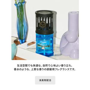 ランドリン 部屋用フレグランス フレッシュモヒ...の詳細画像3