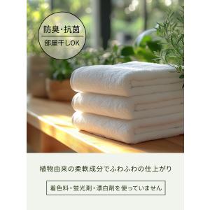 柔軟剤 ランドリン ボタニカル 特大容量 ベル...の詳細画像3