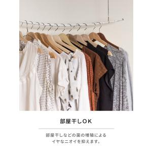 柔軟剤 ランドリン 柔軟剤 特大容量 クラシッ...の詳細画像3