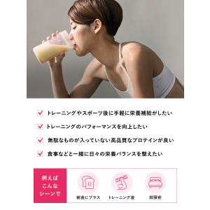 プロテイン【送料無料】クレバー マッスル WP...の詳細画像3