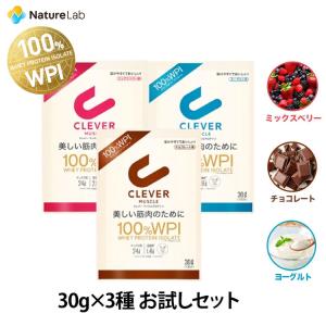 【送料無料】クレバー マッスル WPI ホエイプロテイン 30g（1回分）×3個セット チョコレート ミックスベリー ヨーグルト | ホエイ アイソレート｜naturelab-store