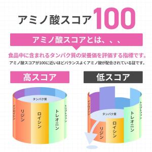 クレバー クリア ウエイトダウン プロテイン ...の詳細画像5