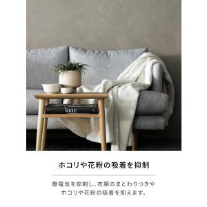 ランドリン 柔軟剤 ティーフレグランス『グッド...の詳細画像3