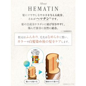 マイブースターズ ヘマチン ブースター シャン...の詳細画像3