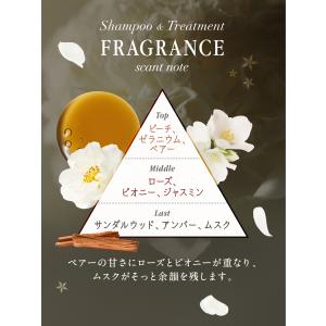 マイブースターズ ヘマチン ブースター シャン...の詳細画像5