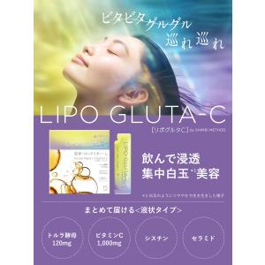 シンビ メソッド リポグルタC 15包 SHI...の詳細画像1