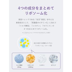 シンビ メソッド リポグルタC 15包 SHI...の詳細画像3