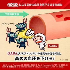 血圧 サプリ GABA 40mg ストレス 疲...の詳細画像4