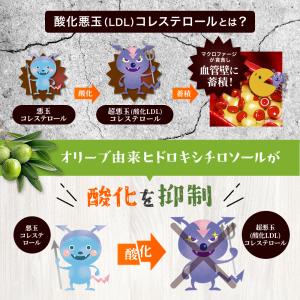悪玉(LDL)コレステロール 血圧を下げる コ...の詳細画像4