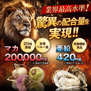 マカ 亜鉛 サプリ 20倍濃縮マカ 200,0...の詳細画像2