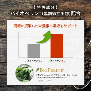 マカ 亜鉛 サプリ 20倍濃縮マカ 200,0...の詳細画像4