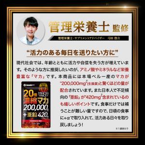 マカ 亜鉛 サプリ 20倍濃縮マカ 200,0...の詳細画像5