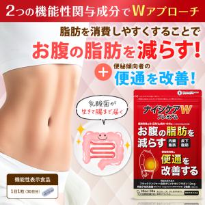 ダイエット サプリ お腹の脂肪 内臓脂肪 皮下...の詳細画像1