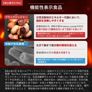 ダイエット サプリ お腹の脂肪 内臓脂肪 皮下...の詳細画像2