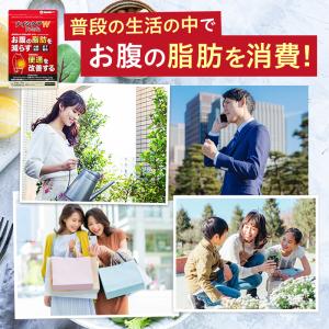 ダイエット サプリ お腹の脂肪 内臓脂肪 皮下...の詳細画像3