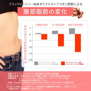 ダイエット サプリ お腹の脂肪 内臓脂肪 皮下...の詳細画像4
