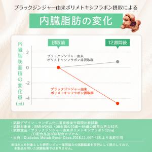 ダイエット サプリ お腹の脂肪 内臓脂肪 皮下...の詳細画像5