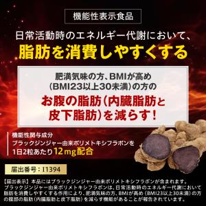 ダイエット サプリ お腹の脂肪 皮下脂肪 内臓...の詳細画像2