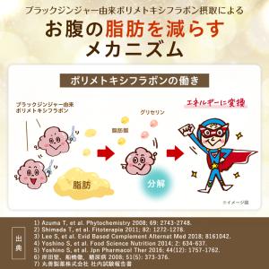 ダイエット サプリ お腹の脂肪 皮下脂肪 内臓...の詳細画像4